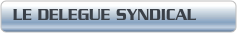 LE DELEGUE SYNDICAL